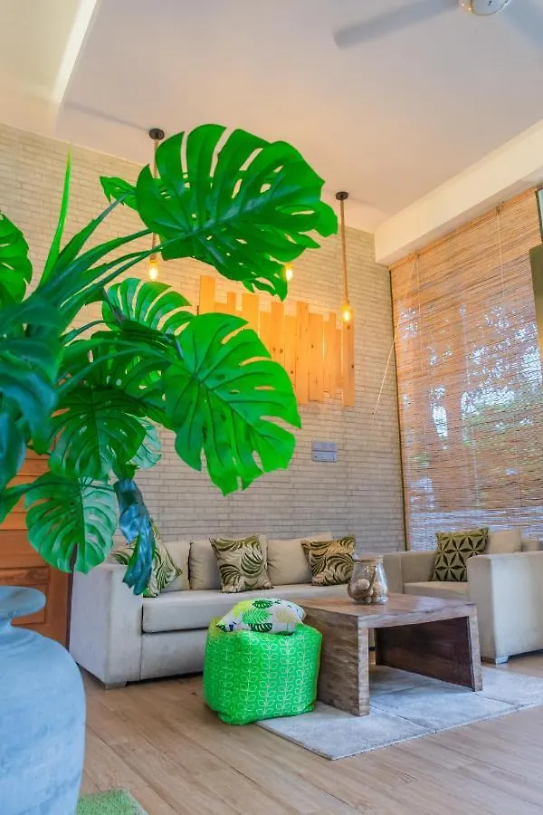 J Leaf Hotel By Blue Bird Negombo 3*,  Sri Lanka